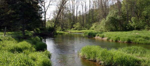 belle island stream