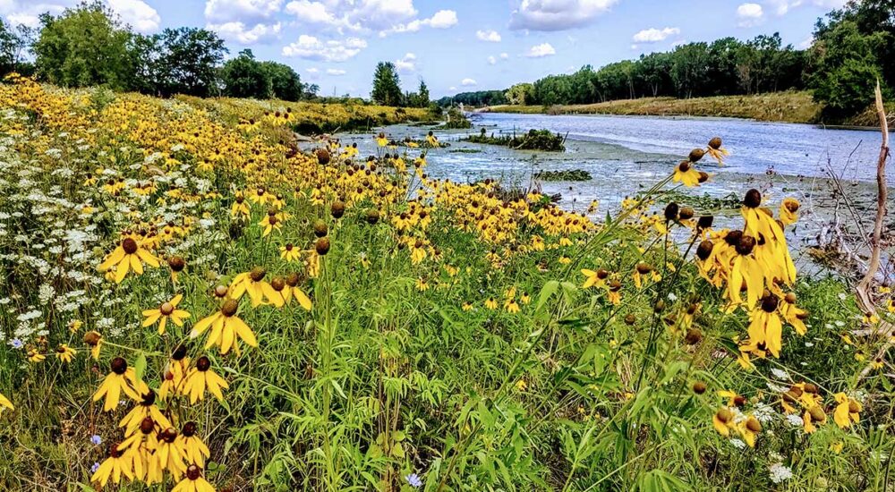 Clinton River Spillway