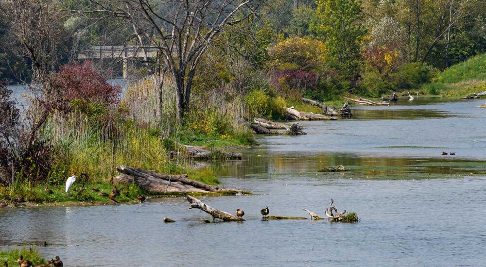 Clinton River Spillway