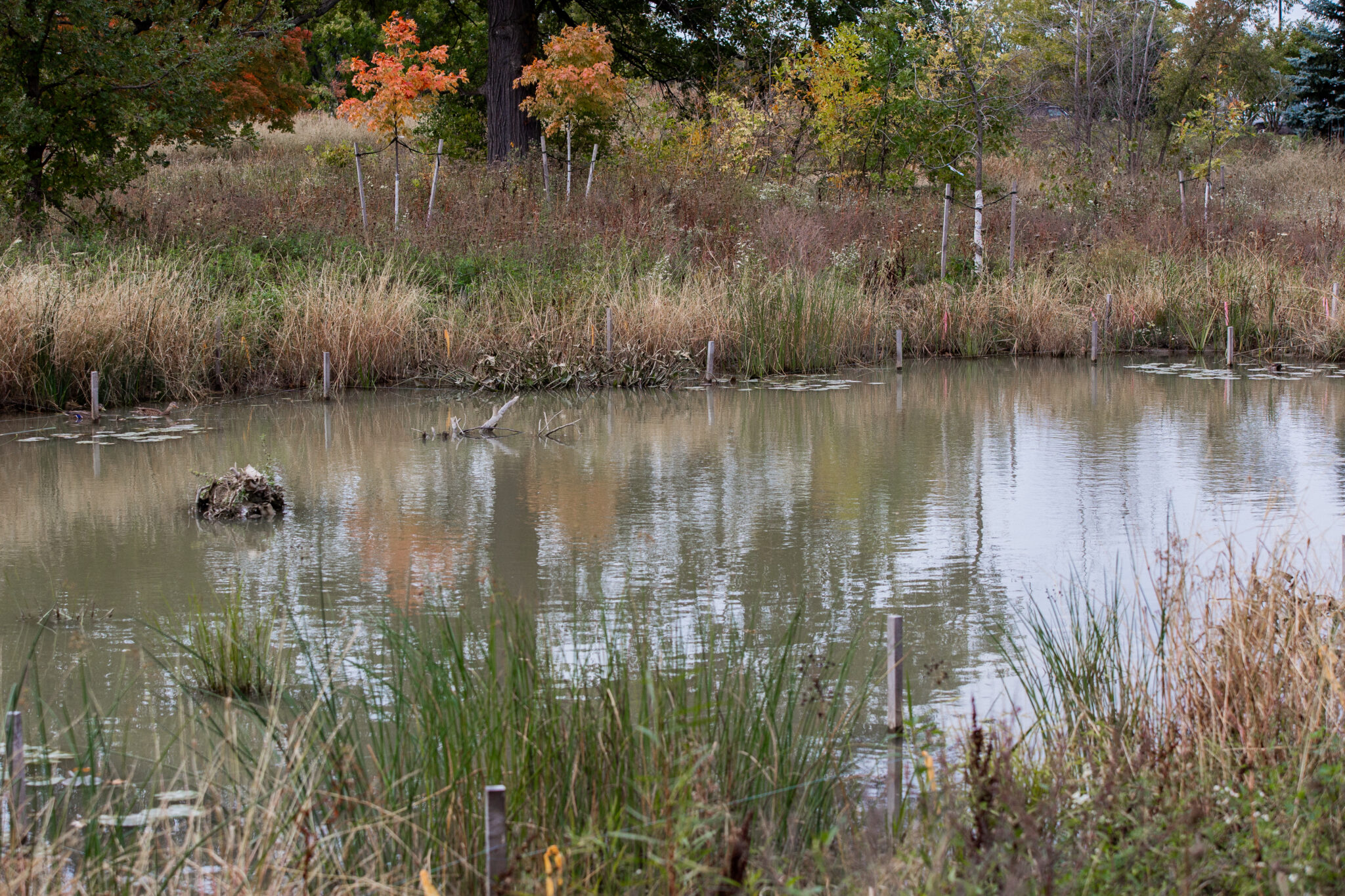 Partridge Creek Habitat Restoration HUBBELL ROTH CLARK INC HUBBELL ROTH CLARK INC 